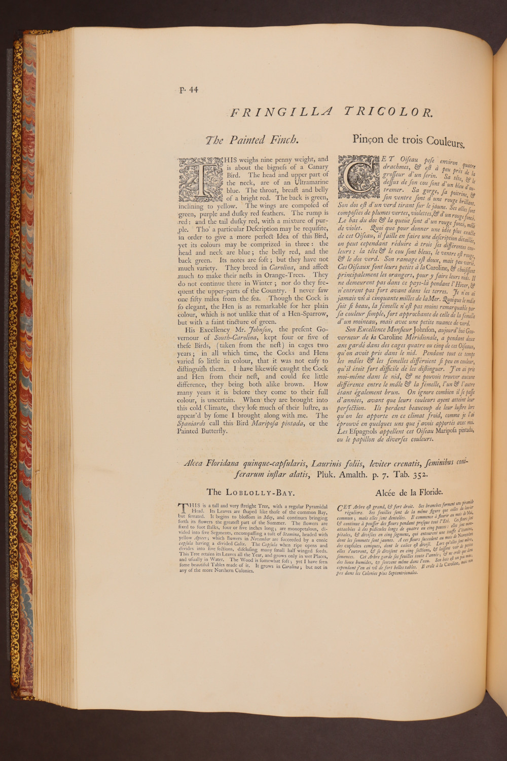 Page 44